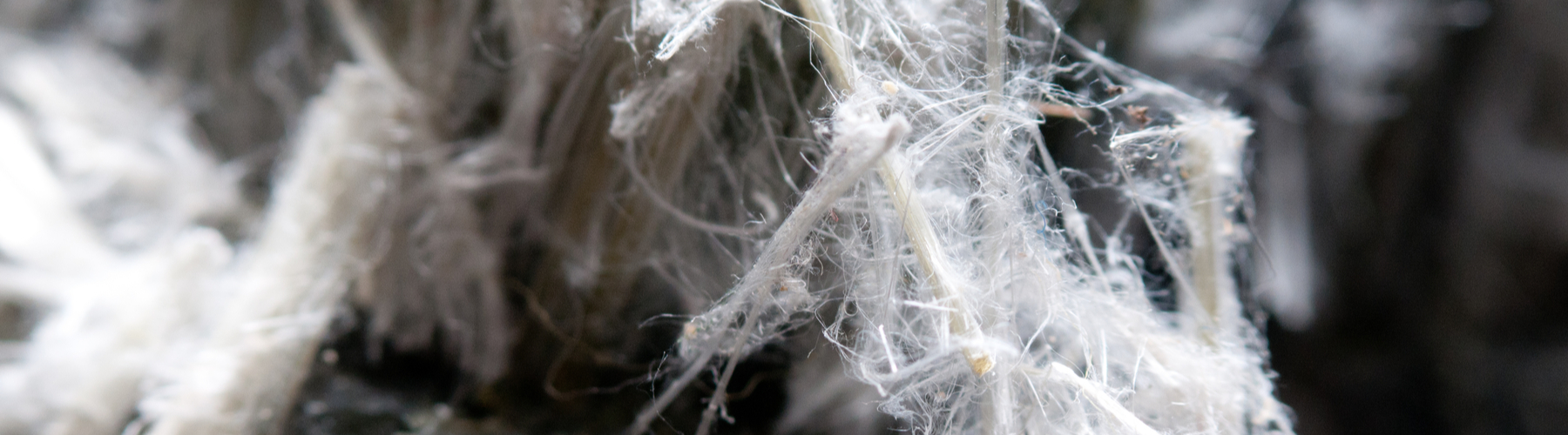 Your Guide to Asbestos Exposure