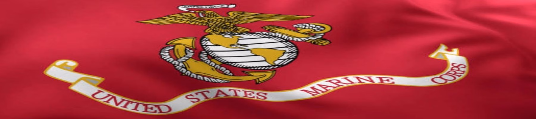 Marine Corps Birthday